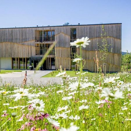 Naturhotel & Chalets Euler 뉴쇼나우 외부 사진